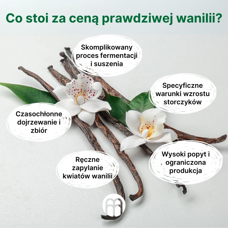 (Polština) Co stojí za cenou pravé vanilky